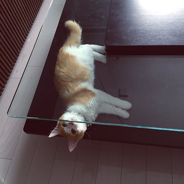 Reiさんの実例写真