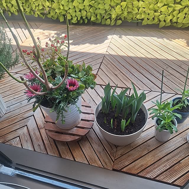 hakata-baさんの部屋