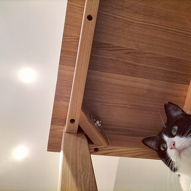 hihaさんの実例写真