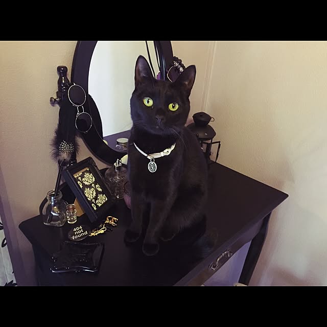 KATE666さんの実例写真