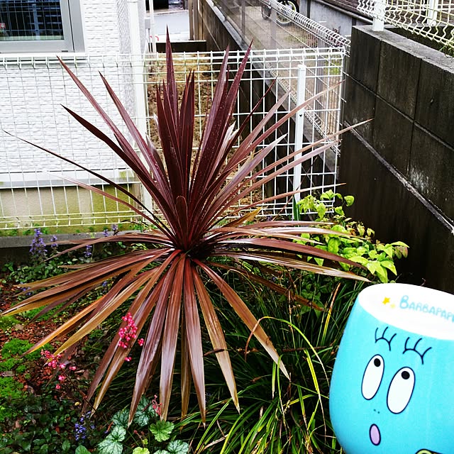 tomoppさんの実例写真