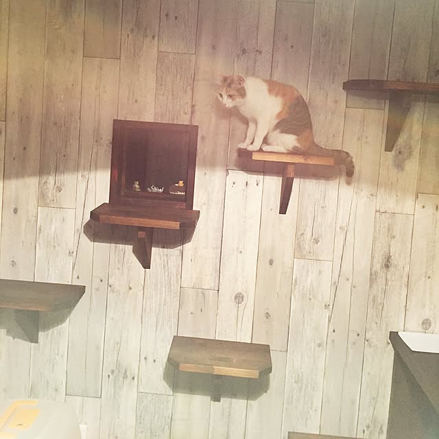 moriyamanekoさんの実例写真