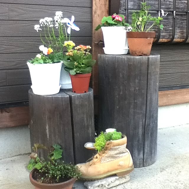 実例写真