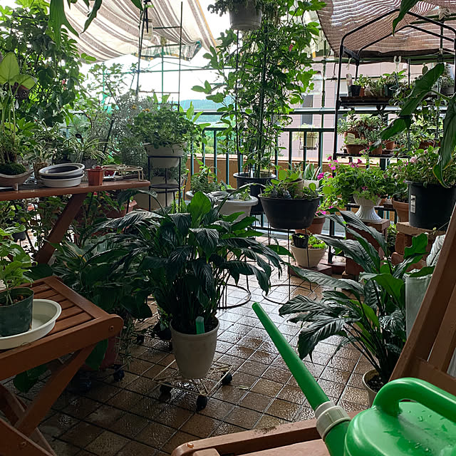 Aqettyさんの部屋