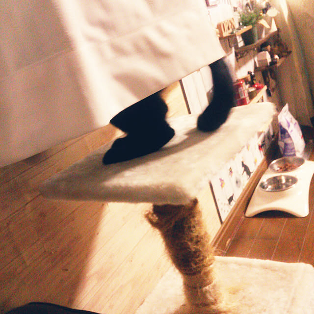 Tomopさんの実例写真