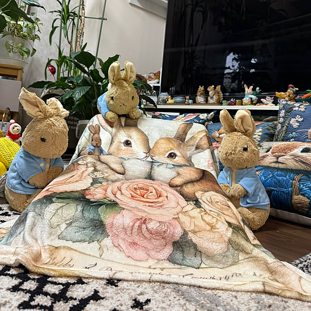 Aqettyさんの部屋