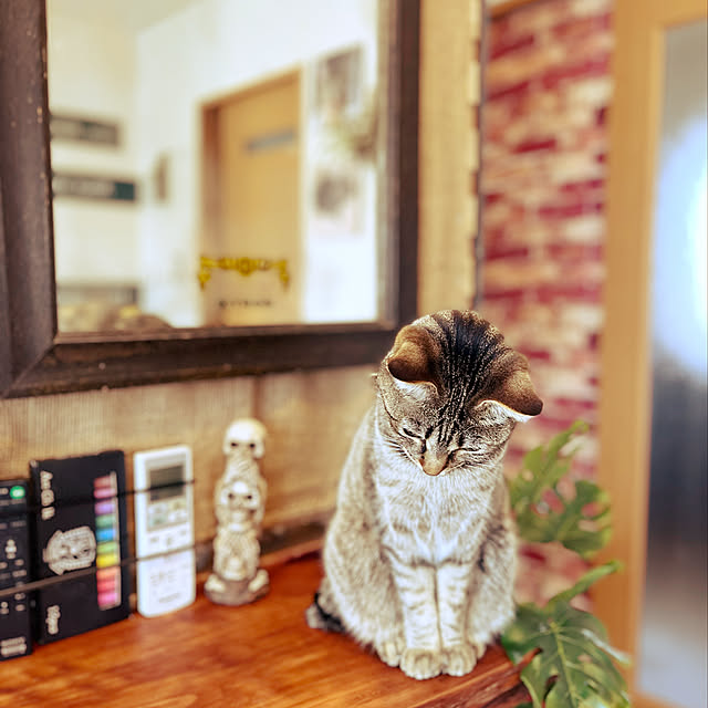 Mさんの実例写真