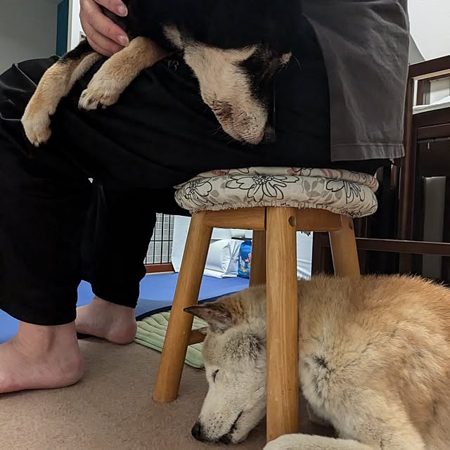ponhanaさんの部屋
