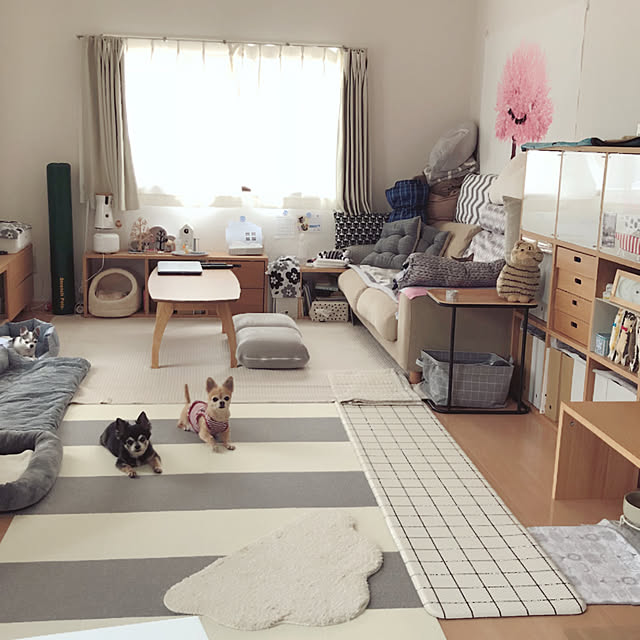 Emiさんの実例写真