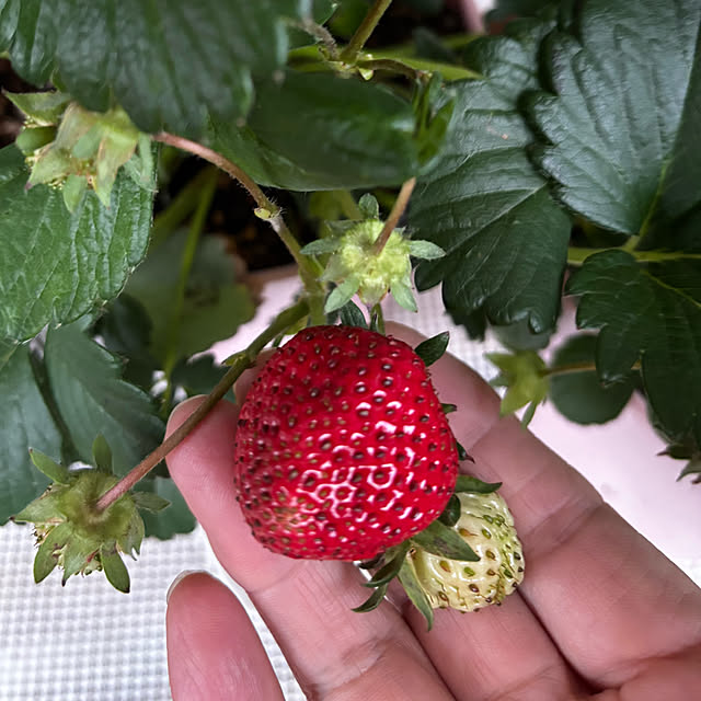 syutmmさんの部屋