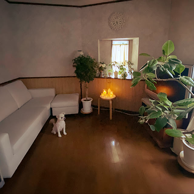 Kekoponさんの実例写真