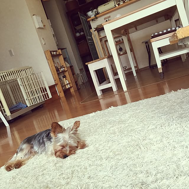 mayuoさんの実例写真