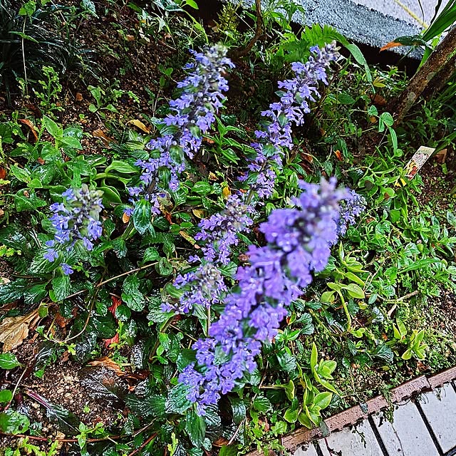katさんの部屋