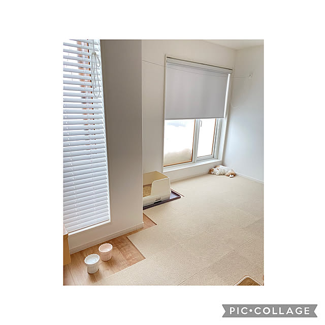 aip.cさんの実例写真