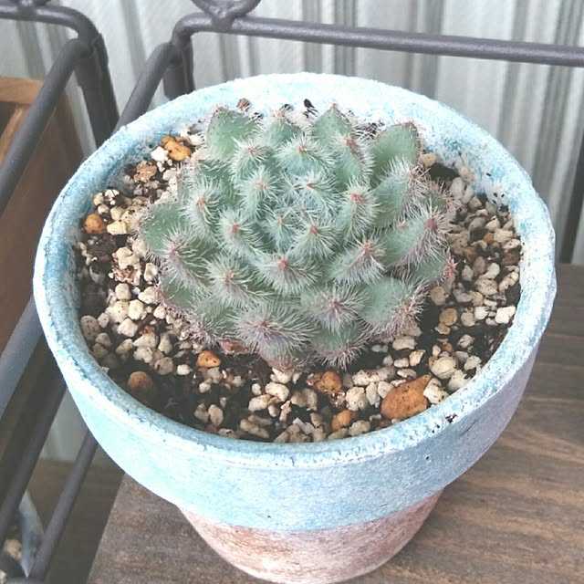 j.tさんの実例写真