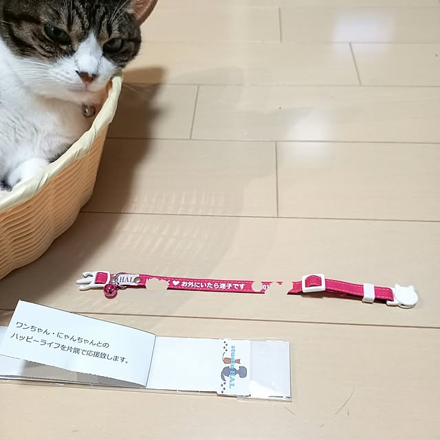 civicglさんの部屋