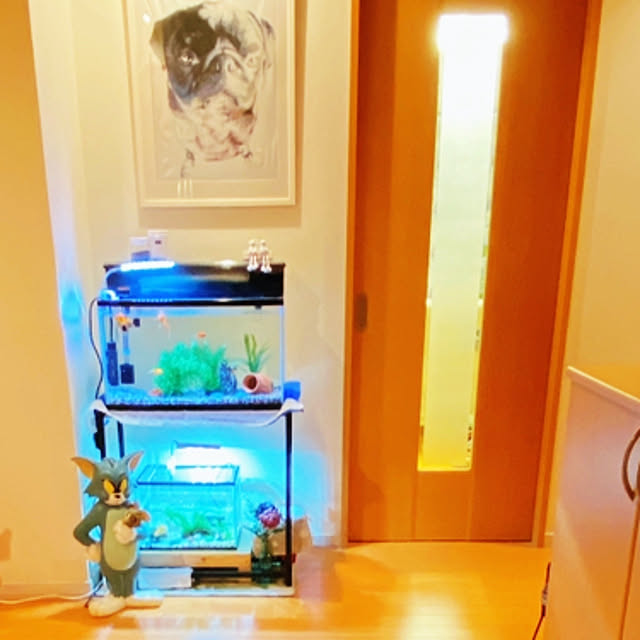 moolさんの部屋