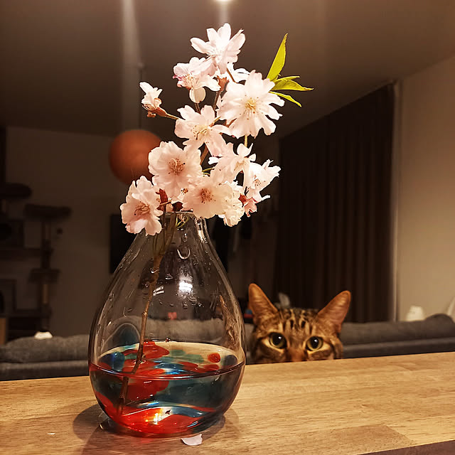 p-p-maruさんの実例写真