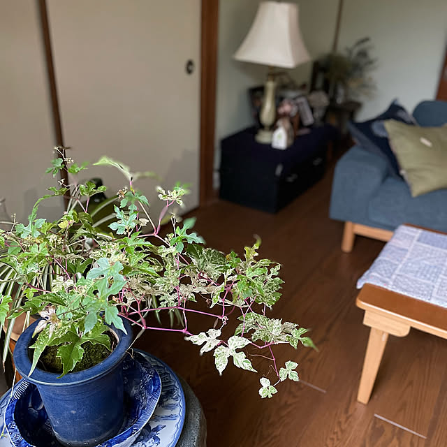 buchiさんの部屋