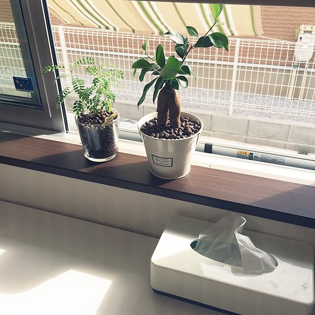 rieno.iroさんの実例写真