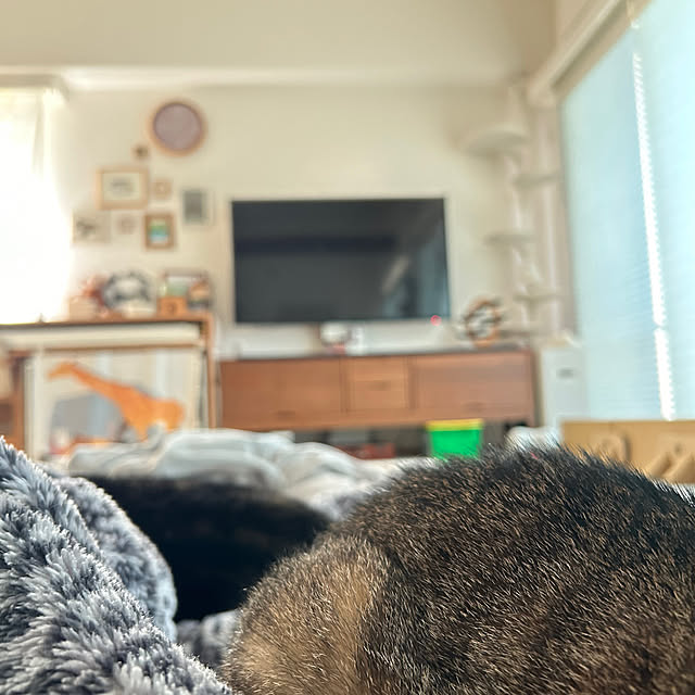 mikomaruさんの部屋