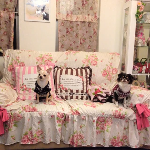 angelrose.yuuさんの実例写真