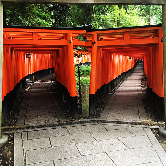 実例写真