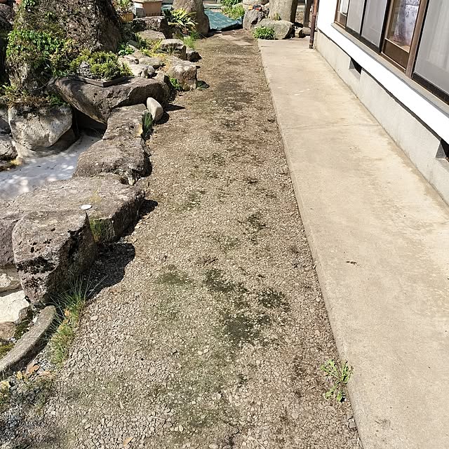 sumimarumiさんの部屋