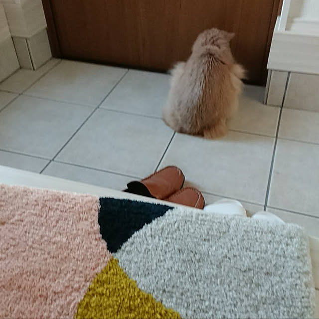 mofucatさんの実例写真