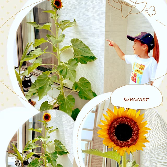 k.risa.s-.-y.familyさんの実例写真
