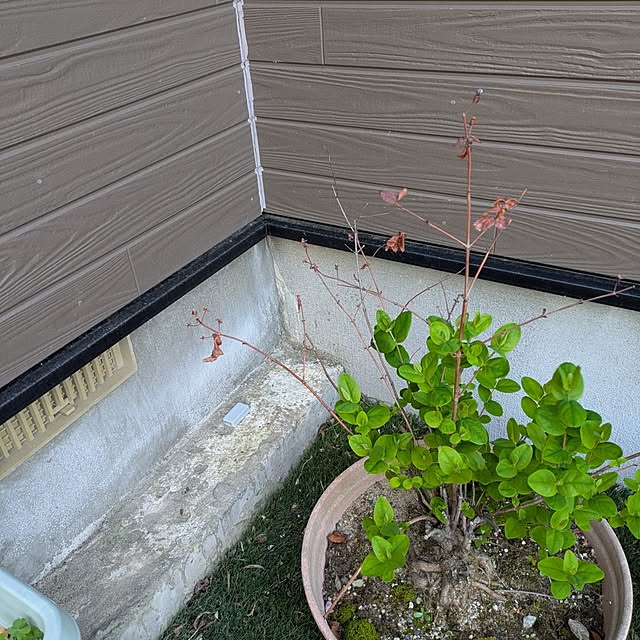 tikuwaさんの部屋