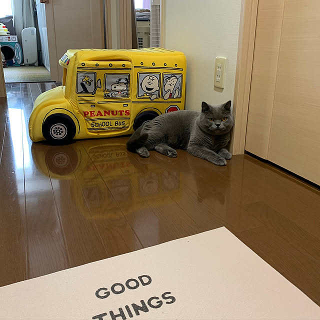 kittyさんの実例写真