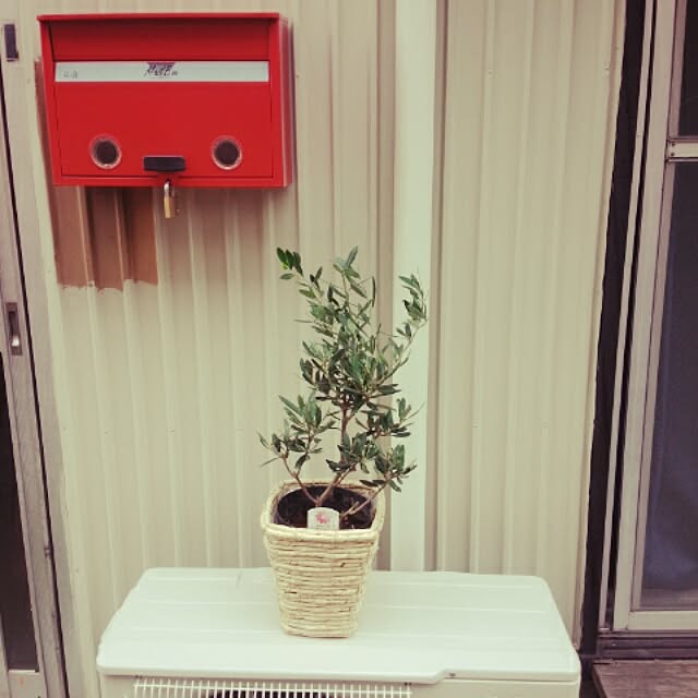 yuriさんの実例写真