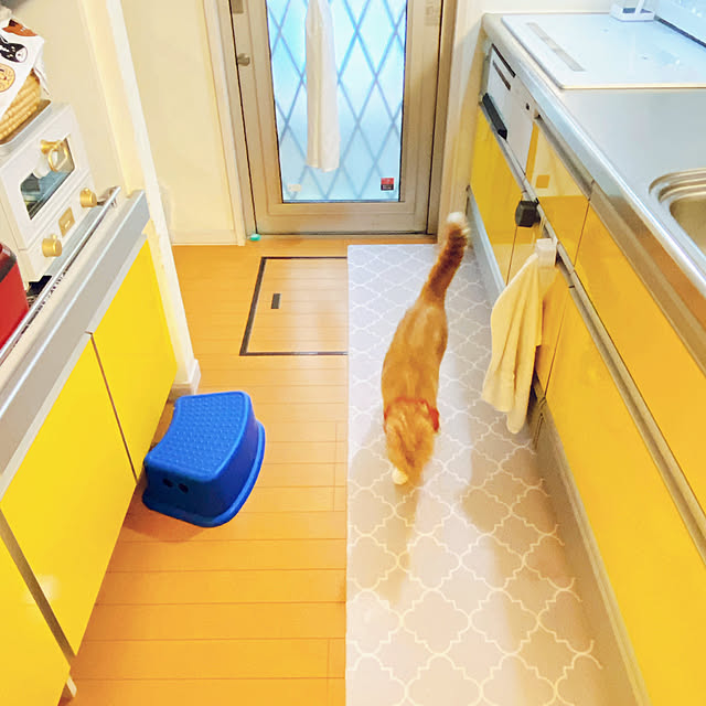 moolさんの部屋