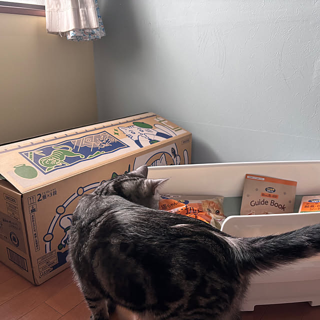 yuzuaoさんの部屋