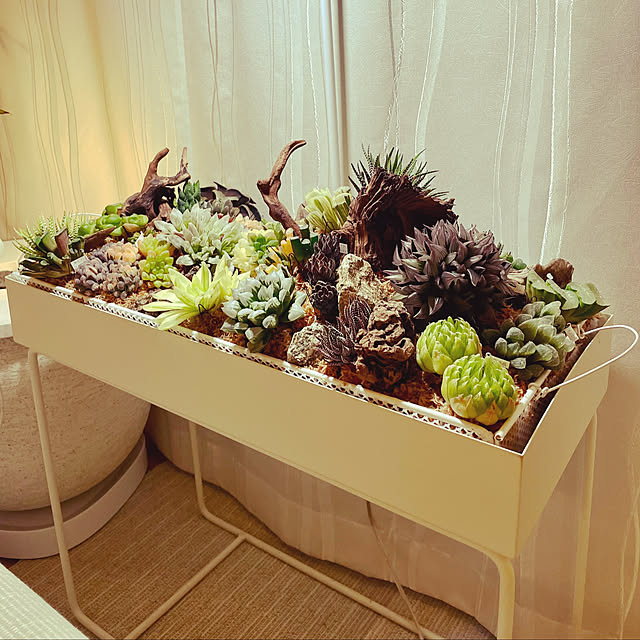 nanakoさんの部屋