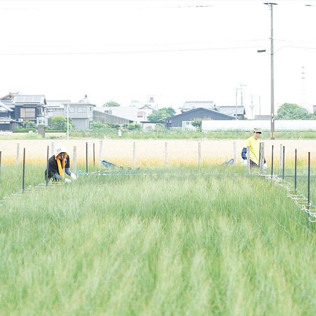 IKEHIKOさんの実例写真