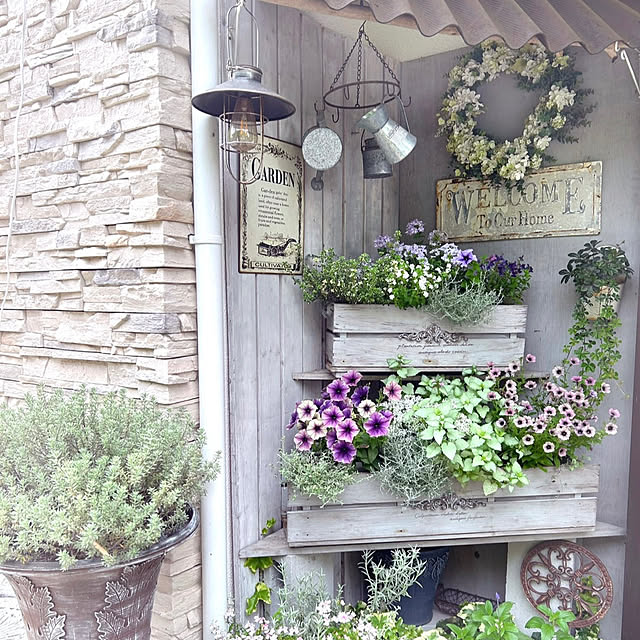 soraさんの実例写真