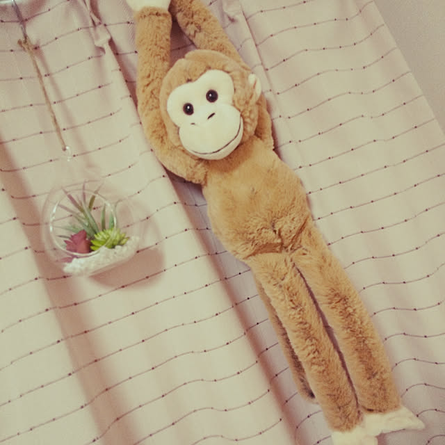 korohukumamanさんの実例写真