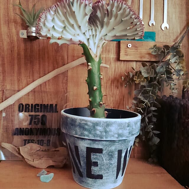 J.S.L.M6531さんの実例写真