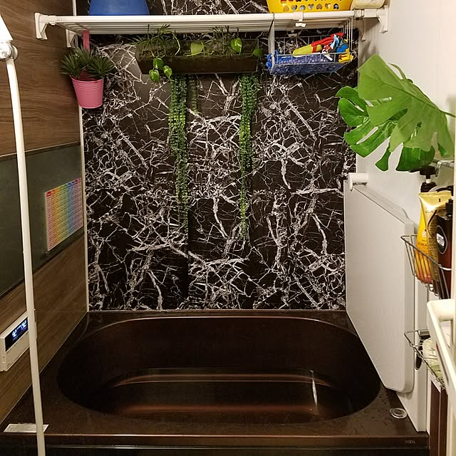 kochiouraneriさんの実例写真