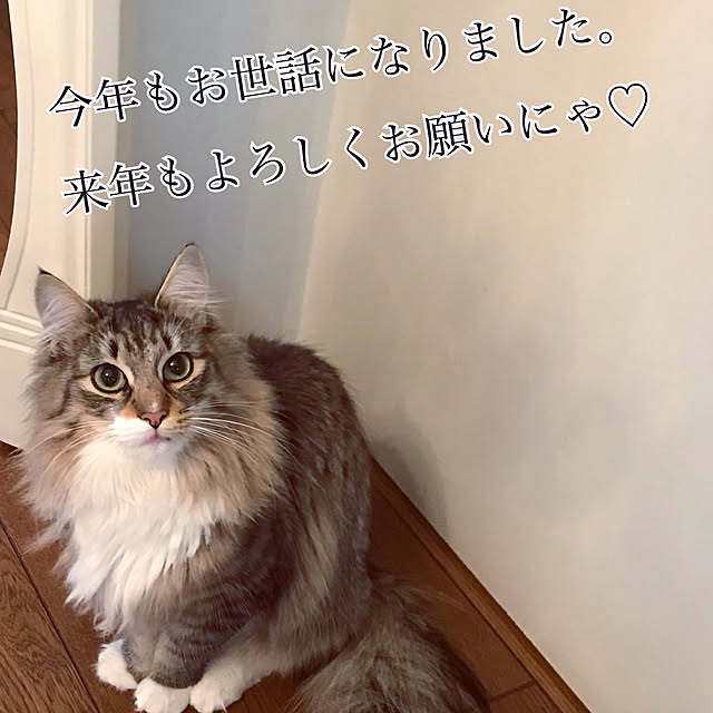 Akie.otsukaさんの実例写真