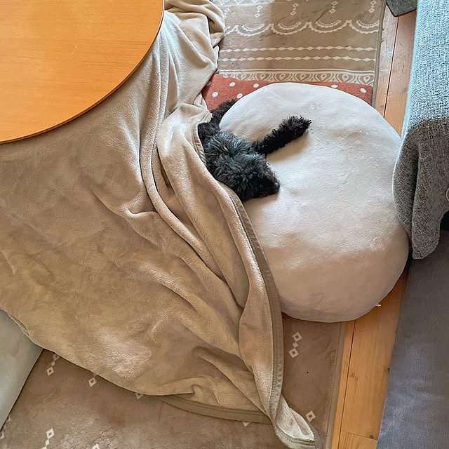 Chipさんの実例写真