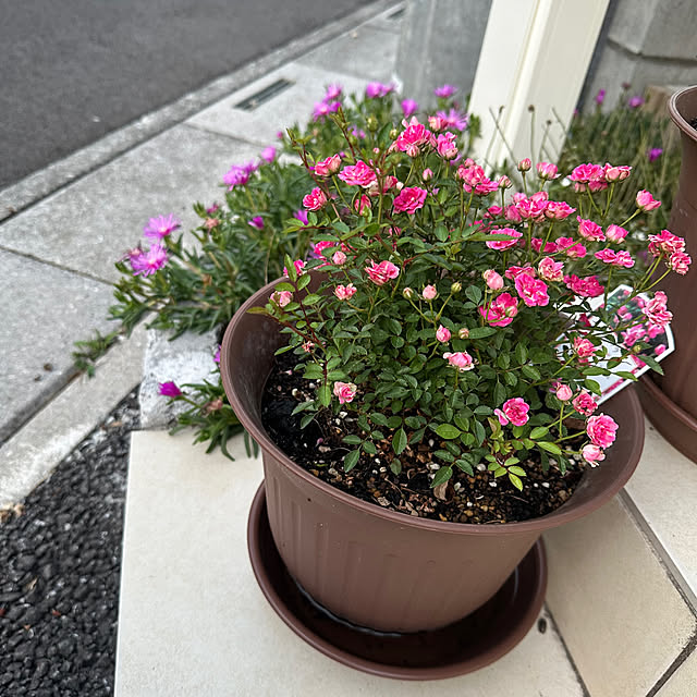 Hさんの部屋