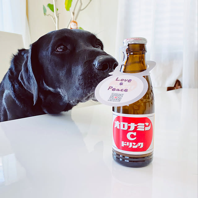 minu5656さんの実例写真