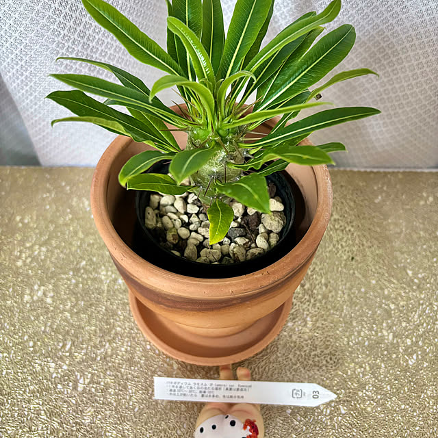 HITOさんの部屋