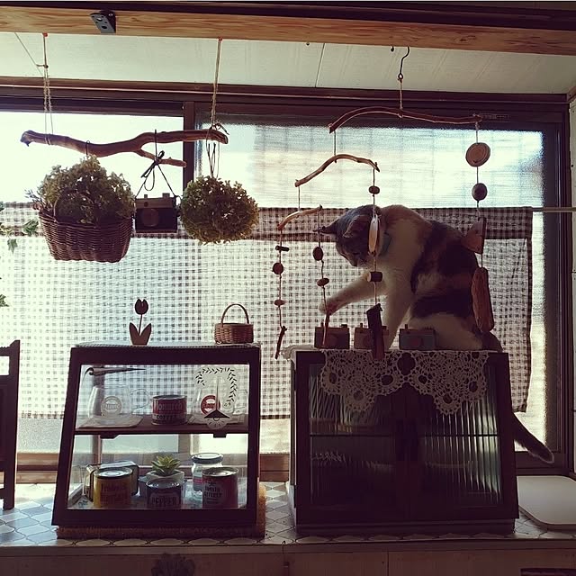 fukuさんの部屋