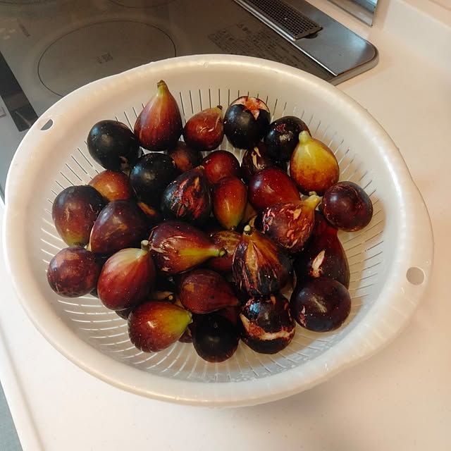 makaronさんの部屋