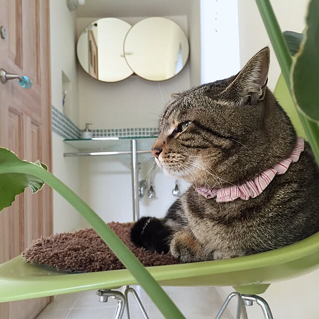 実例写真