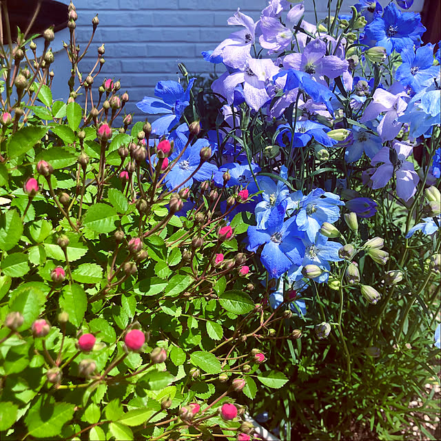 tomoさんの部屋
